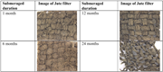 A table compares jute filter surfaces after submerged durations of 1, 6, 12, and 24 months.