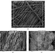 Three electron micrographs compare jute fibre surfaces after increasing submerged durations.
