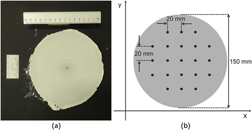 Two panels present a circular specimen with a measuring ruler and a schematic of 25 measurement points spaced 20 millimetres apart.