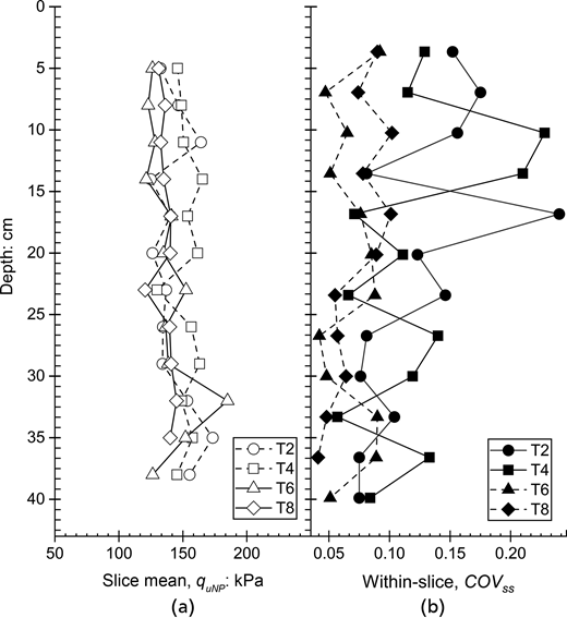 Two-panel line graphs compare slice mean q u N P and within-slice coefficient of variation across depth for T 2, T 4, T 6, and T 8.