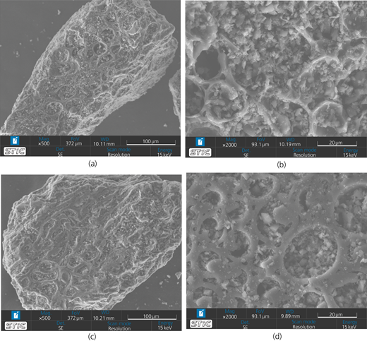 Figure 3 Refer to the image caption for details.