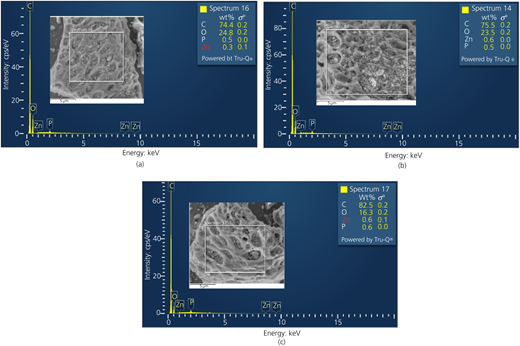 Figure 5 Refer to the image caption for details.