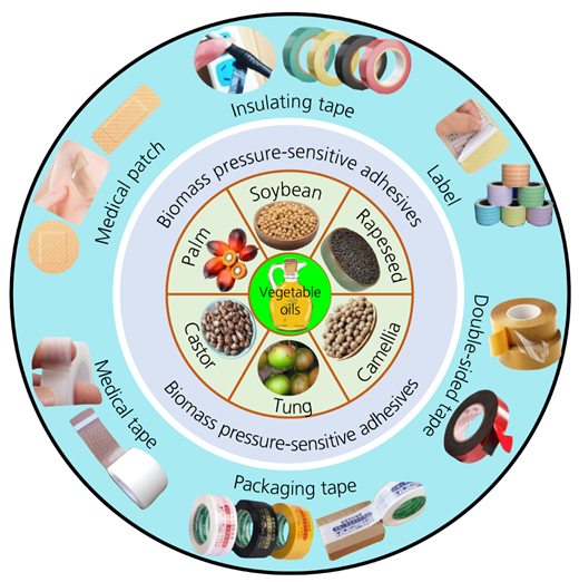 Figure 1 Refer to the image caption for details.