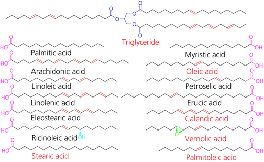 Figure 2 Refer to the image caption for details.