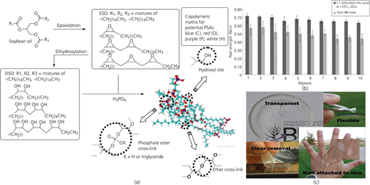Figure 3 Refer to the image caption for details.
