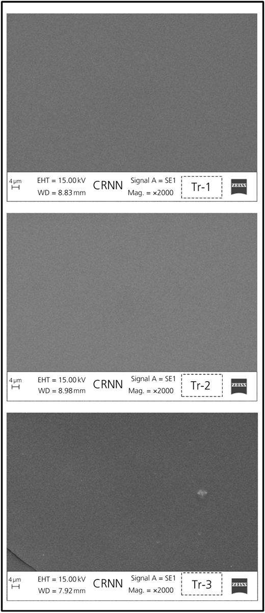 SEM images of the cured surfaces of Tr-1, Tr-2 and Tr-3 Refer to the image caption for details.