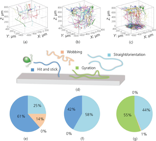 Figure 4 Refer to the image caption for details.