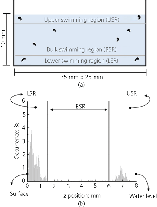 Figure 5 Refer to the image caption for details.