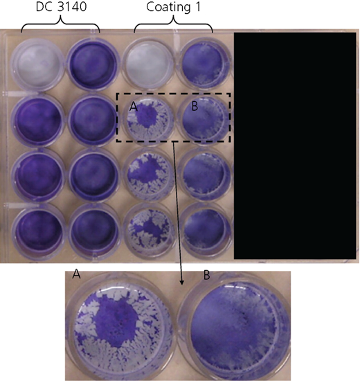 Figure 7 Refer to the image caption for details.