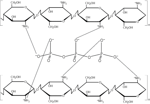 Figure 12 Refer to the image caption for details.