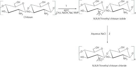 Figure 2 Refer to the image caption for details.