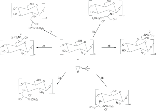 Figure 4 Refer to the image caption for details.