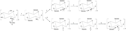 Figure 5 Refer to the image caption for details.