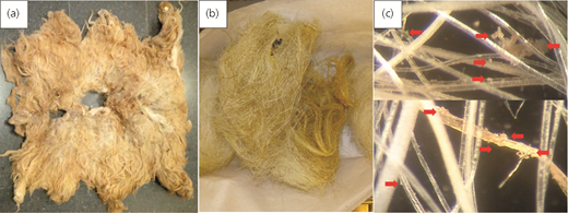 Figure 1 Refer to the image caption for details.
