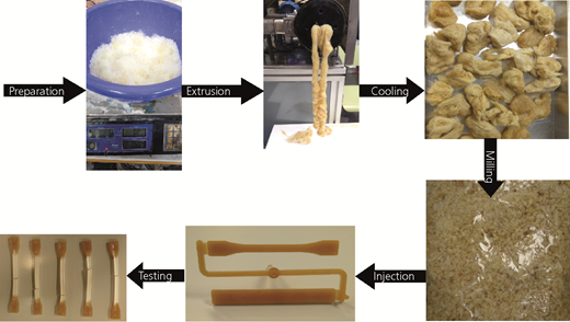 Figure 2 Refer to the image caption for details.