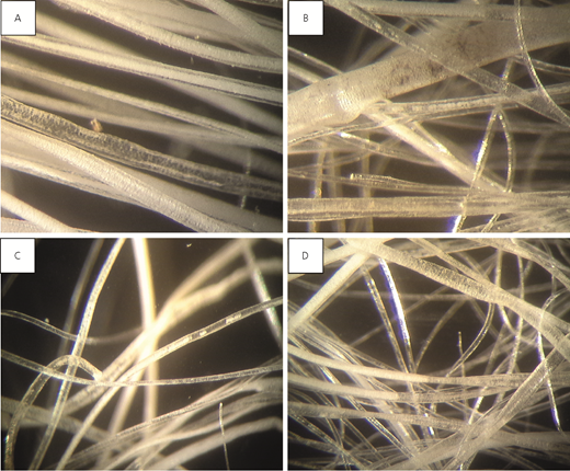 Figure 3 Refer to the image caption for details.