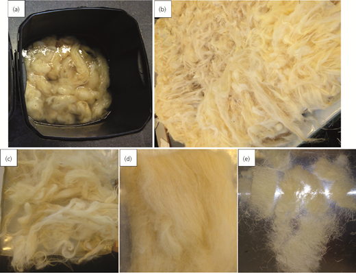 Figure 5 Refer to the image caption for details.
