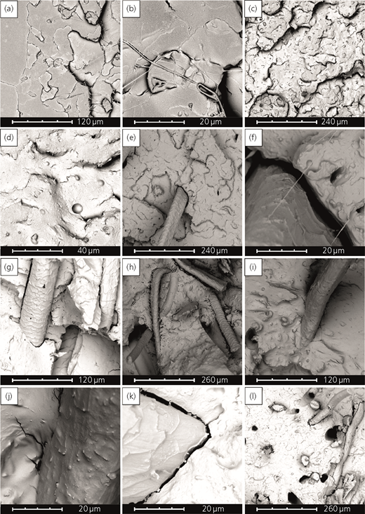 Figure 6 Refer to the image caption for details.