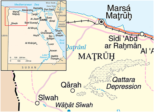 Figure 1 Refer to the image caption for details.