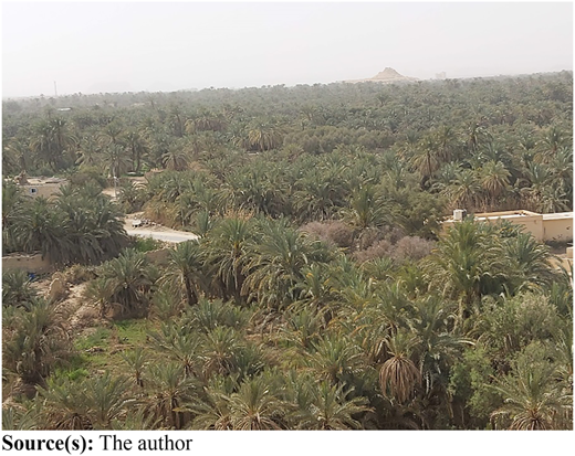 Figure 7 Refer to the image caption for details.