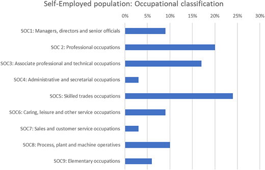 A horizontal bar chart shows the percentage distribution of self-employed workers across occupational groups.
