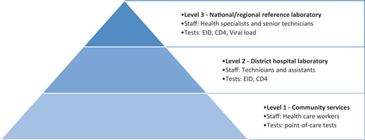 Figure 2 Refer to the image caption for details.