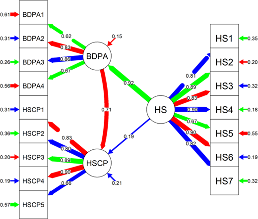 A path diagram shows interrelated constructs B D P A, H S C P, B D P A, and H S with directional arrows and standardised coefficients between observed and latent variables.