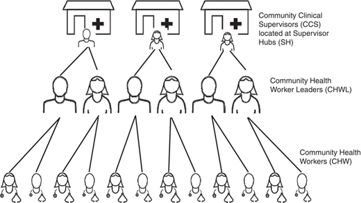 Figure 1 Refer to the image caption for details.