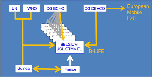 Figure 2 Refer to the image caption for details.