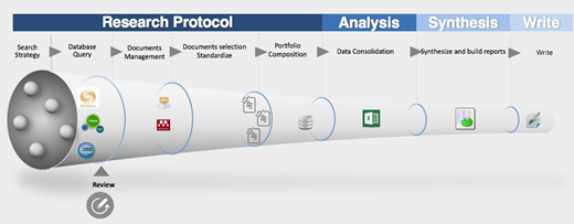 A linear diagram shows a research protocol workflow from search strategy to write, including analysis and synthesis stages with icons for databases, documents, spreadsheets and reports.