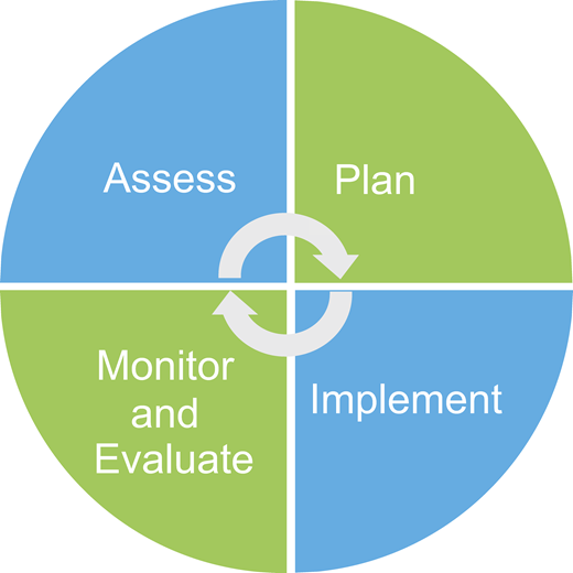 A four-stage cycle shows Assess, Plan, Implement, and Monitor and Evaluate, with circular arrows indicating a continuous process.