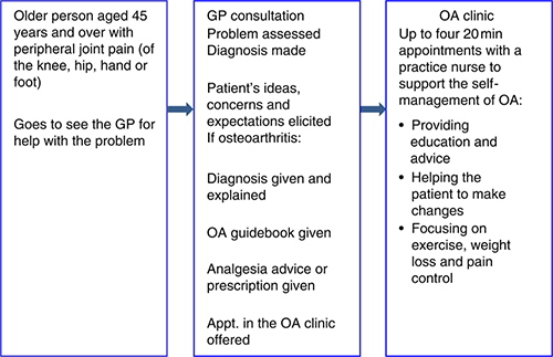 Figure 1 Refer to the image caption for details.
