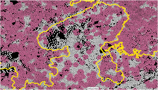 A spatial map showing clustered pink and white points within a highlighted boundary.