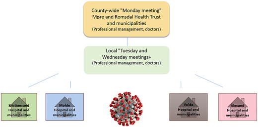 A model shows county-wide and local meeting structures linked to four hospital and municipality groups.