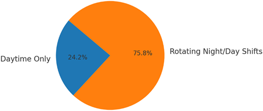 A pie chart showing work schedule categories.