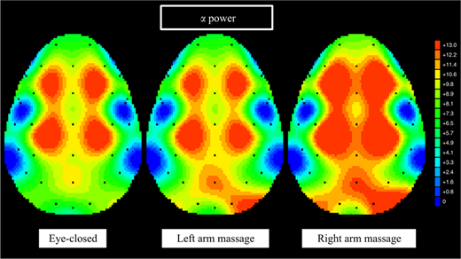 Figure 4 Refer to the image caption for details.