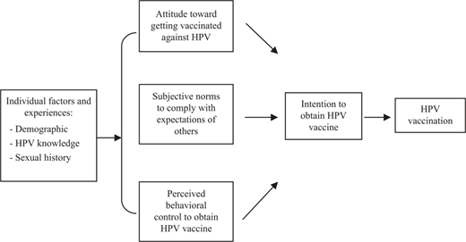 Figure 1 Refer to the image caption for details.