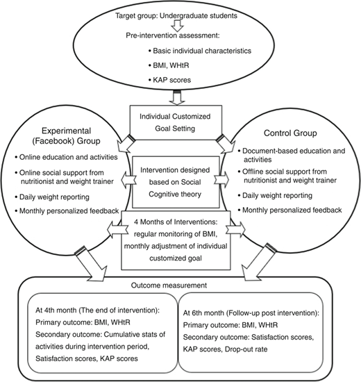 Figure 1 Refer to the image caption for details.