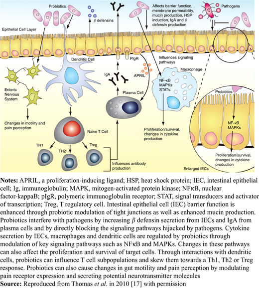 Figure 2 Refer to the image caption for details.