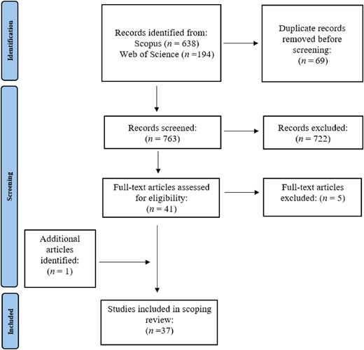 A flow diagram shows the identification, screening, eligibility, and inclusion steps of a scoping review.