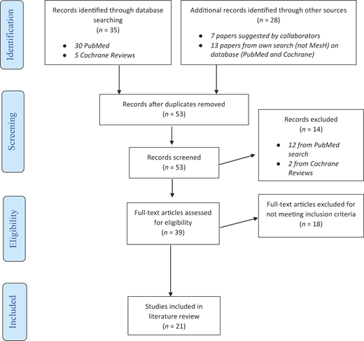 Figure 2 Refer to the image caption for details.