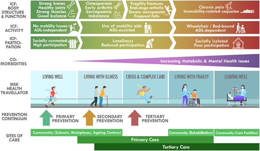A figure shows a colour-coded layered model of musculoskeletal health across I C F domains and care pathways.