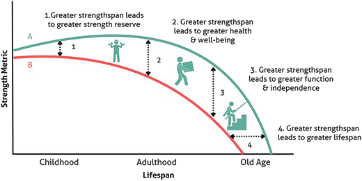 A graph shows two curved trajectories labeled A and B with arrows and icons illustrating strengthspan effects.