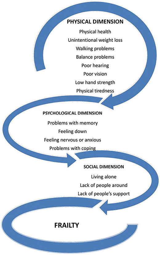 A figure shows three curved arrows linking physical, psychological, and social dimensions leading downward to frailty.