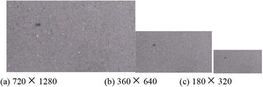 Figure 3 Refer to the image caption for details.