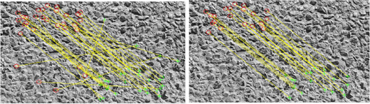 Figure 5 Refer to the image caption for details.