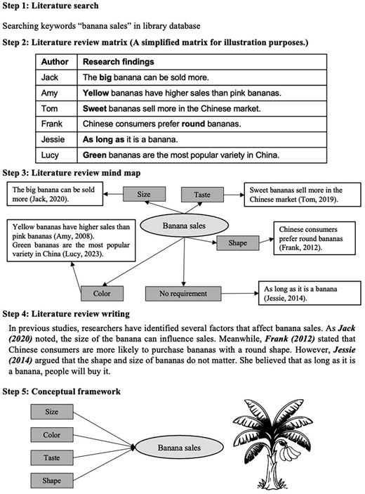 A flowchart outlining steps from literature search to conceptual framework..