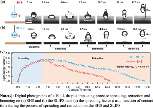 Figure 2 Refer to the image caption for details.
