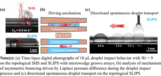 Figure 6 Refer to the image caption for details.