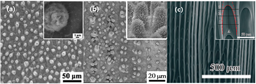 Figure 1 Refer to the image caption for details.